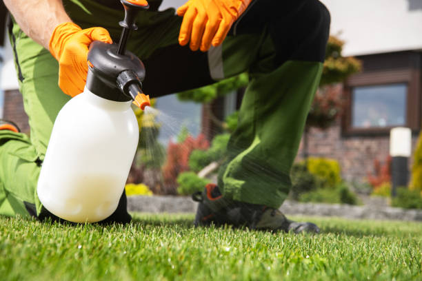 Best Residential Pest Control  in Crosby, TX