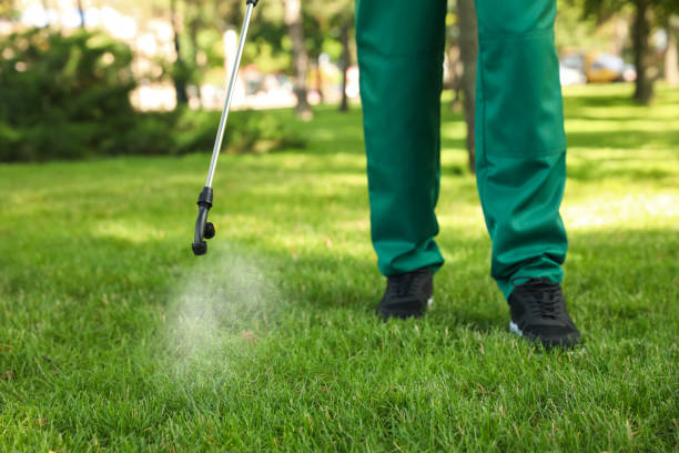Pest Prevention Services in Crosby, TX