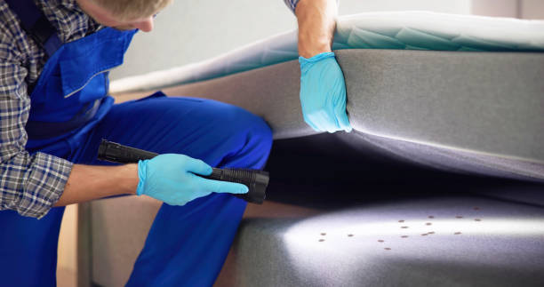 Professional Pest Control in Crosby, TX