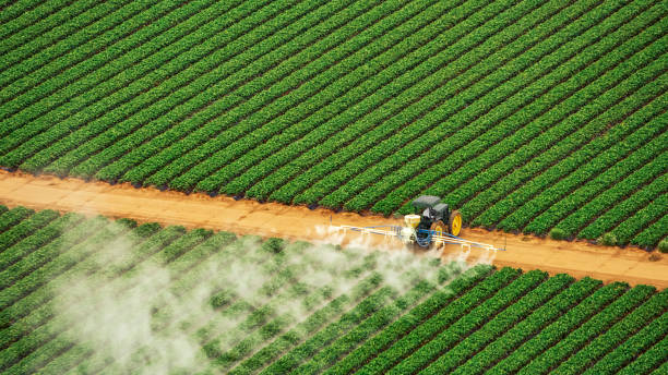 Best Best Pest Control Companies  in Crosby, TX