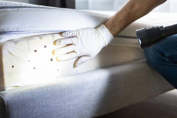 Pest Control Cost in Crosby, TX
