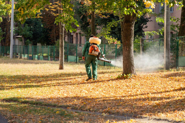 Best Pest Control Near Me  in Crosby, TX