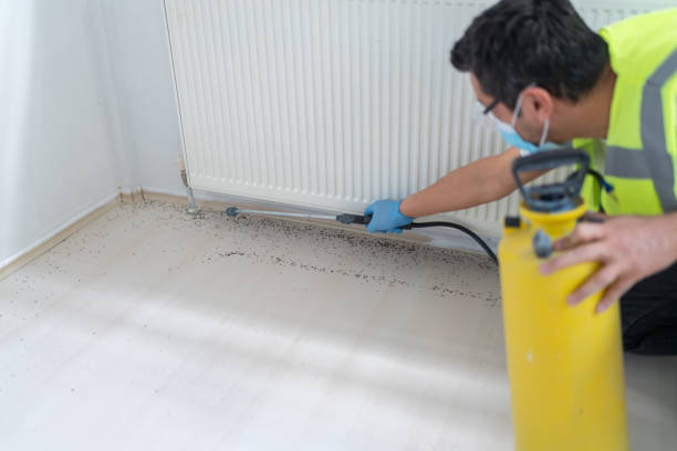 Best Affordable Pest Control Services  in Crosby, TX