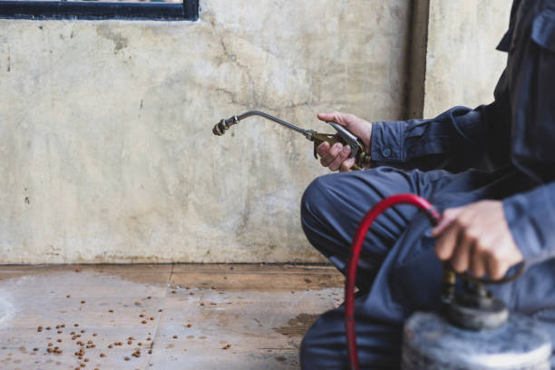Best Affordable Exterminators  in Crosby, TX