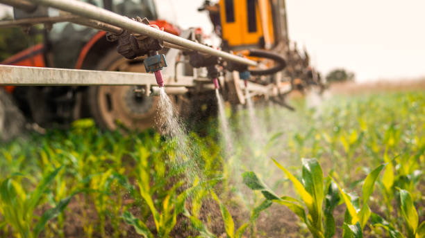 Best Local Pest Control Services  in Crosby, TX